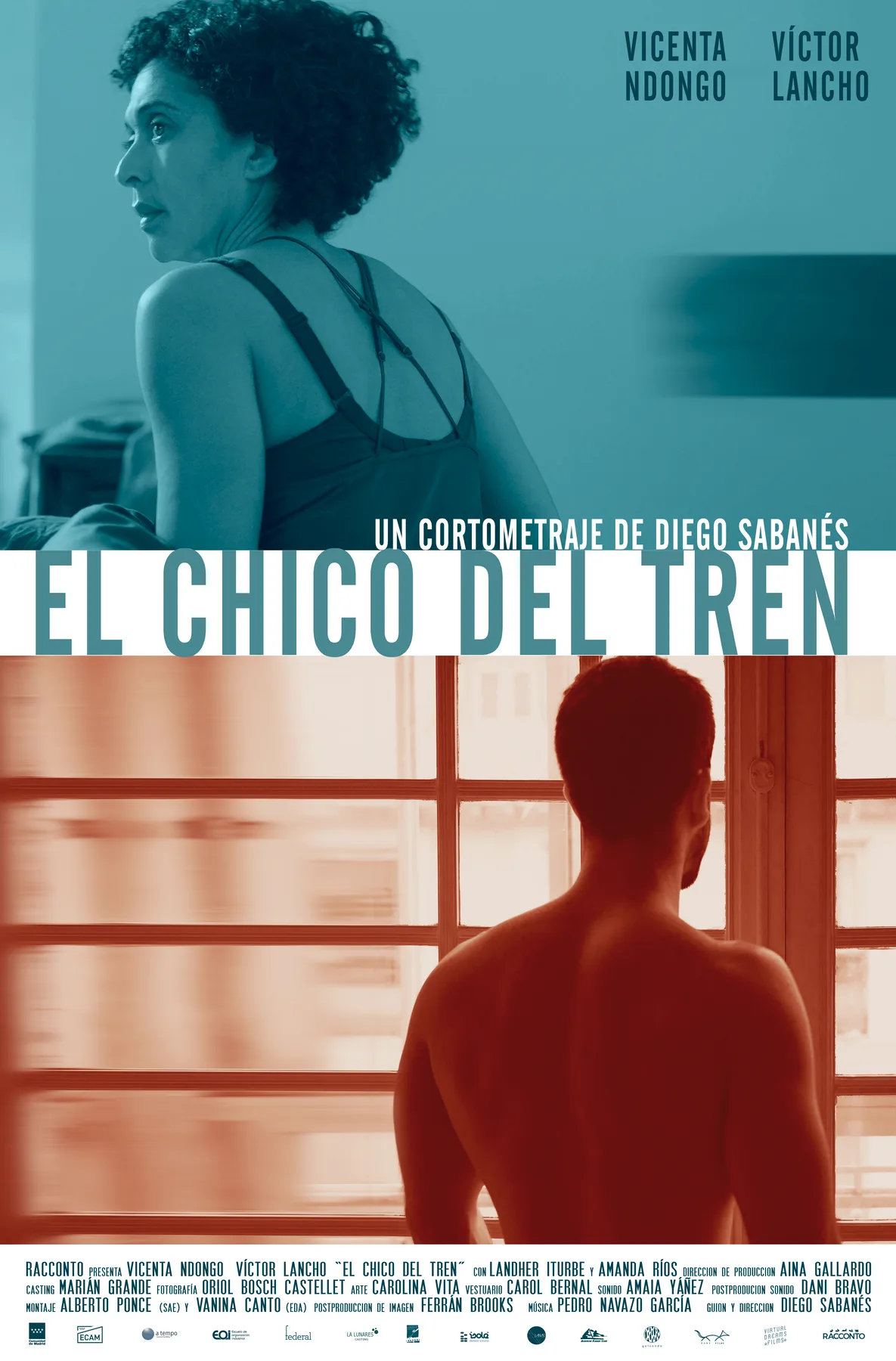 Cartel de El chico del tren.